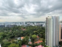 The Scotts Tower (D9), Condominium #547856521
